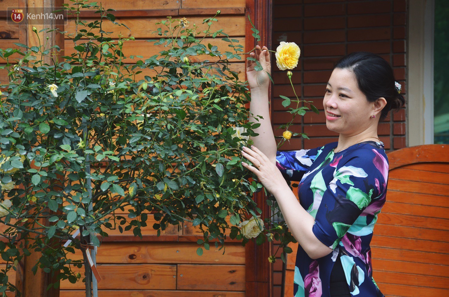 Lễ hội hoa hồng Bulgaria khoe sắc với gần 2.000 giống hoa đúng dịp Quốc tế phụ nữ 8/3